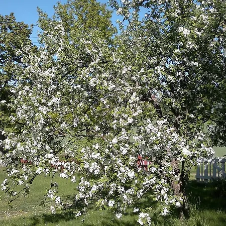 Grannas Oda ve Kahvaltı Nagu